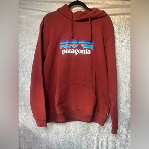 Patagonia Men's Brick Red Hoodie